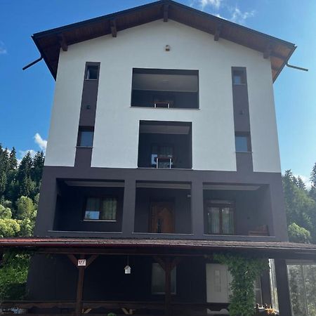 Cazare Luxandra Borşa Εξωτερικό φωτογραφία