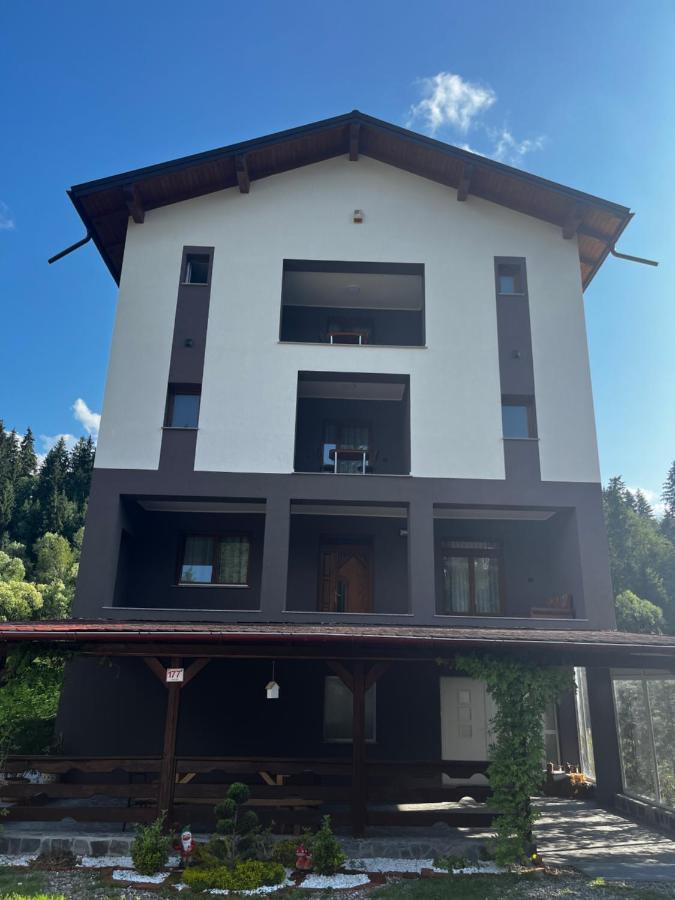 Cazare Luxandra Borşa Εξωτερικό φωτογραφία